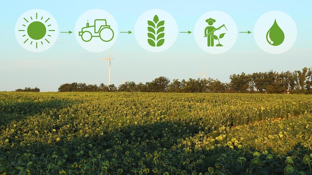 Best Sustainable Rangeland Management Practices