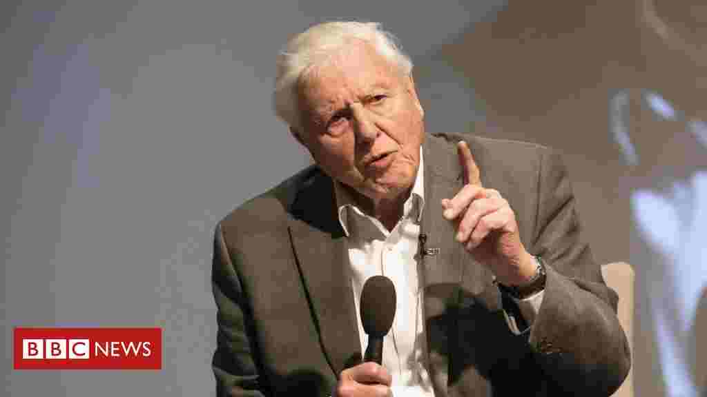 Sir David Attenborough says fixed-term parliaments lead to lack of climate focus