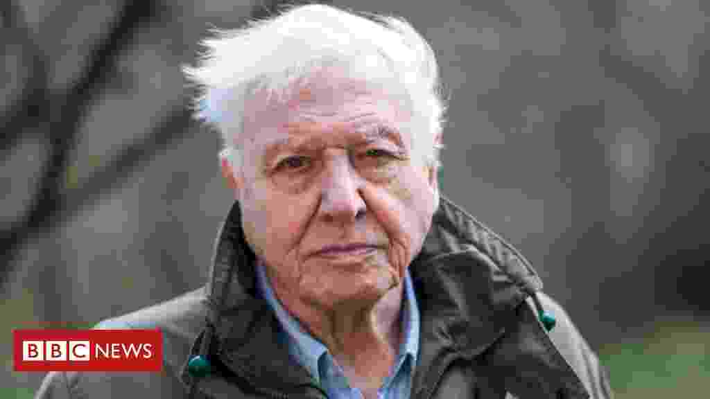 Sir David Attenborough to explore threat to 'perfect planet'