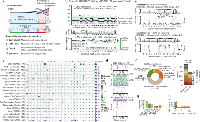 The evolutionary history of 2,658 cancers