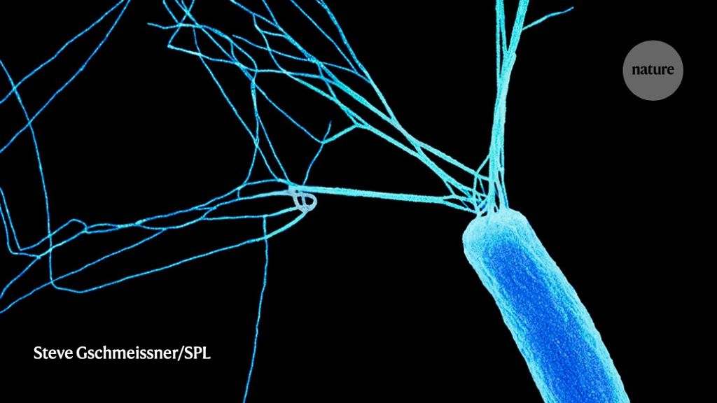 Manufacturing microbes tweaked to live long and prosper