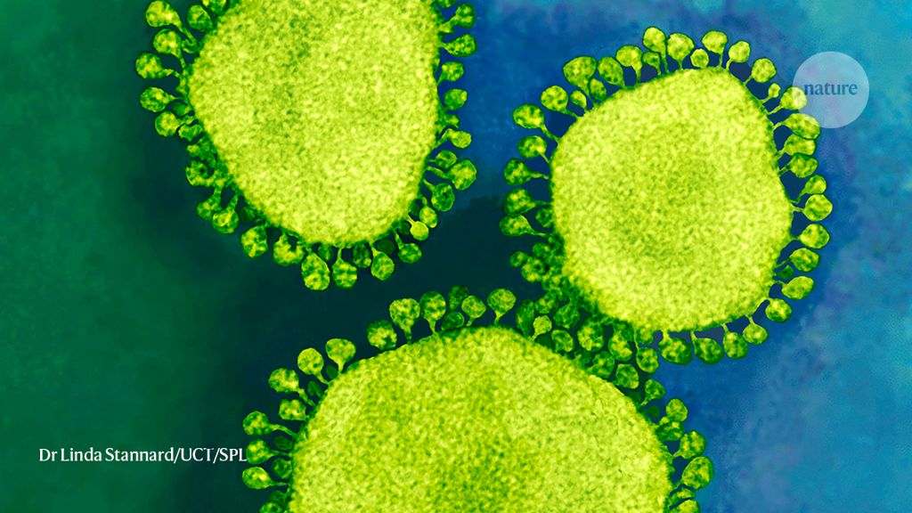 China coronavirus: labs worldwide scramble to analyse live samples