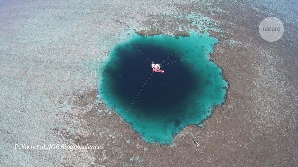 Earths deepest blue hole holds a cache of ancient carbon