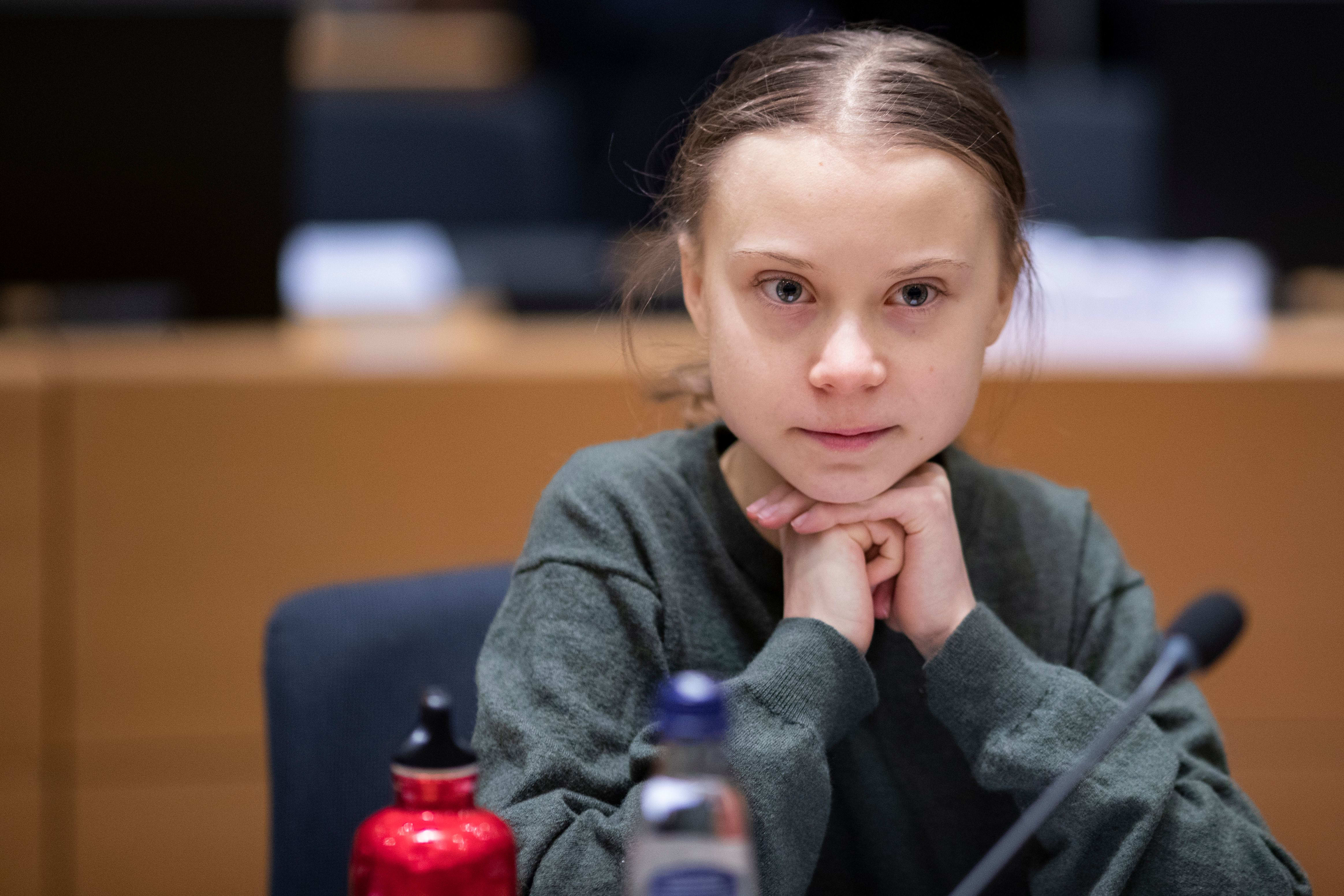 The European Unions proposed climate law has not gone down well with Greta Thunberg