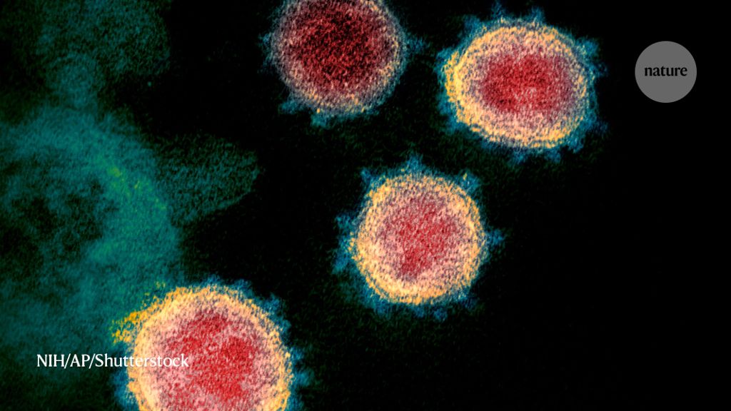 Why does the coronavirus spread so easily between people?
