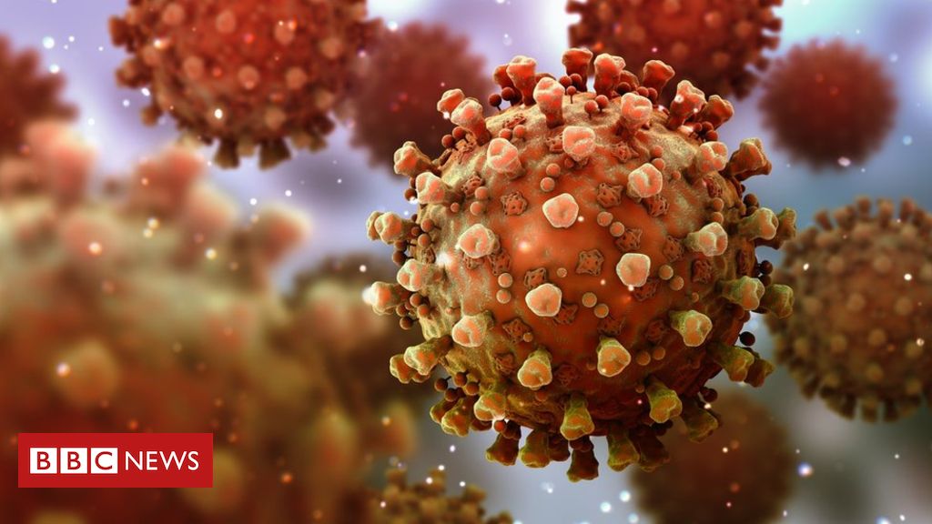 Coronavirus immunity: Can you catch it twice?