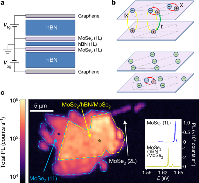Strongly correlated electrons and hybrid excitons in a moir heterostructure