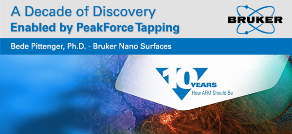 A Decade of Discovery Enabled by PeakForce Tapping - Physics World
