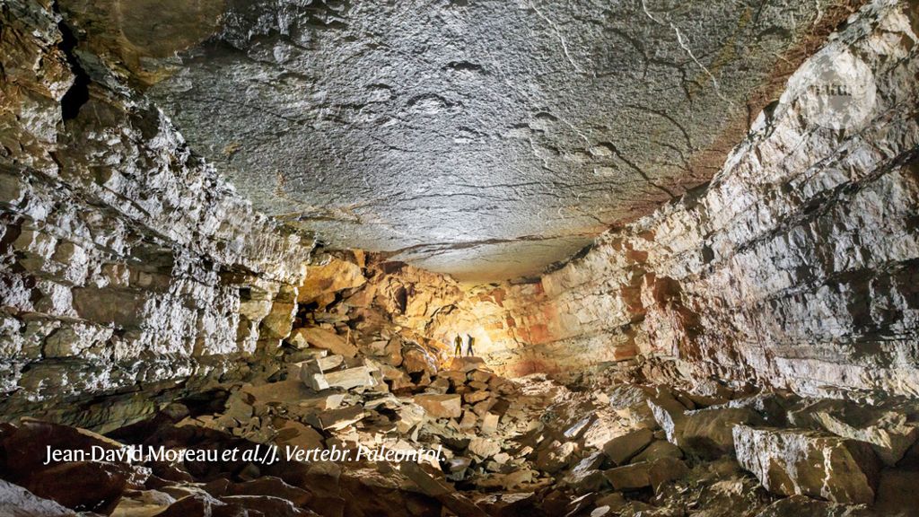 Gigantic dinosaur footprints are found on the roof of a cave