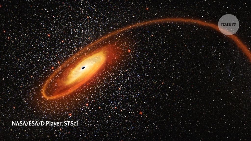 Elusive middle-weight black hole is caught shredding a star
