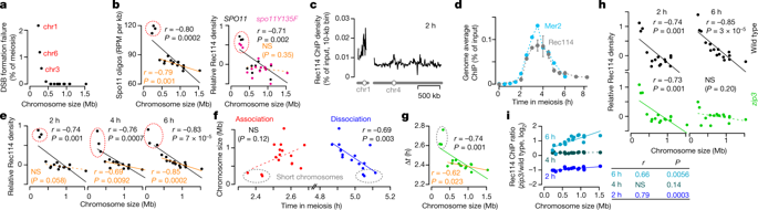 Multilayered mechanisms ensure that short chromosomes recombine in meiosis