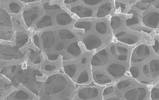 High-quality graphene foams are made from organic waste - Physics World