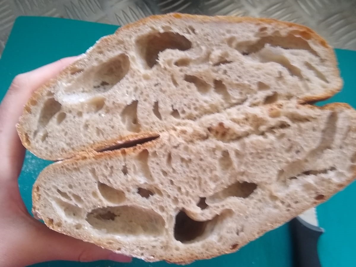 Sourdough tips from Fermilab, anti-5G USB stick does nothing, tracing a message in a bottle - Physics World
