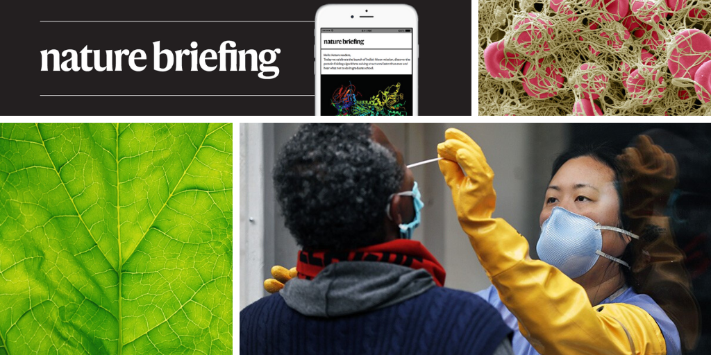 Daily briefing: Cyber-spinach gives artificial photosynthesis a boost