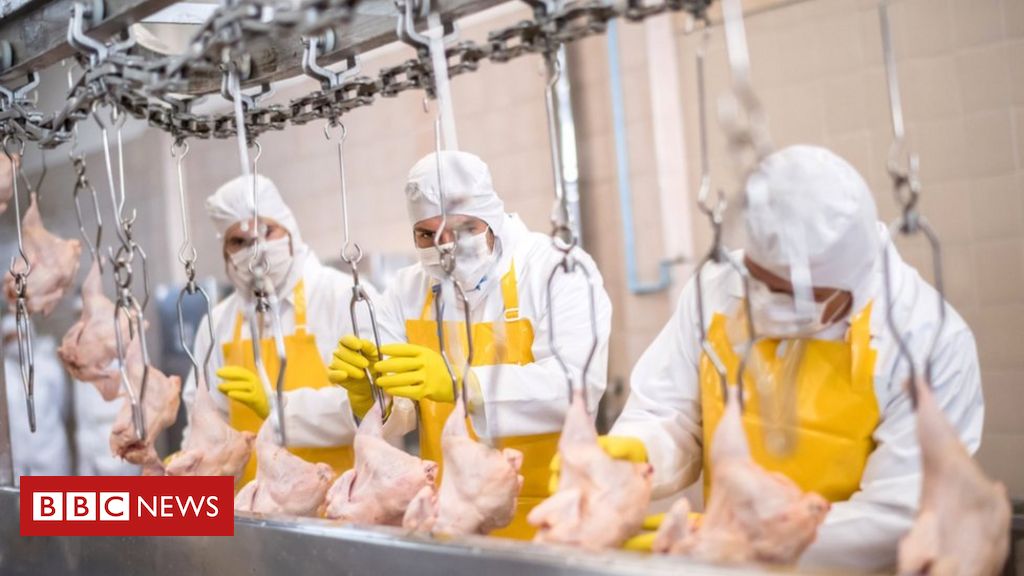 Coronavirus: Why have there been so many outbreaks in meat processing plants?