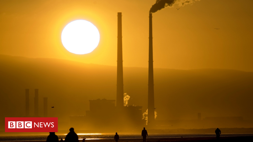 Climate change: Ireland on the verge of its 'greenest government ever'