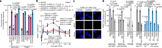 Oncometabolites suppress DNA repair by disrupting local chromatin signalling