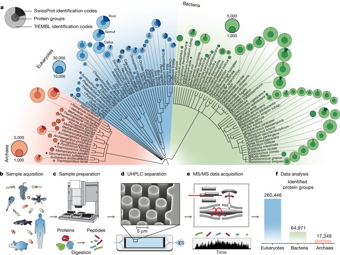 The proteome landscape of the kingdoms of life