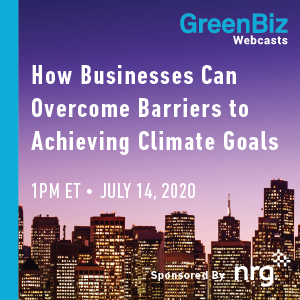 How Businesses Can Overcome Barriers to Achieving Climate Goals