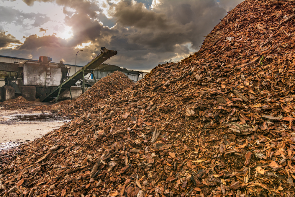Europes wood pellet market is worsening environmental racism in the American South