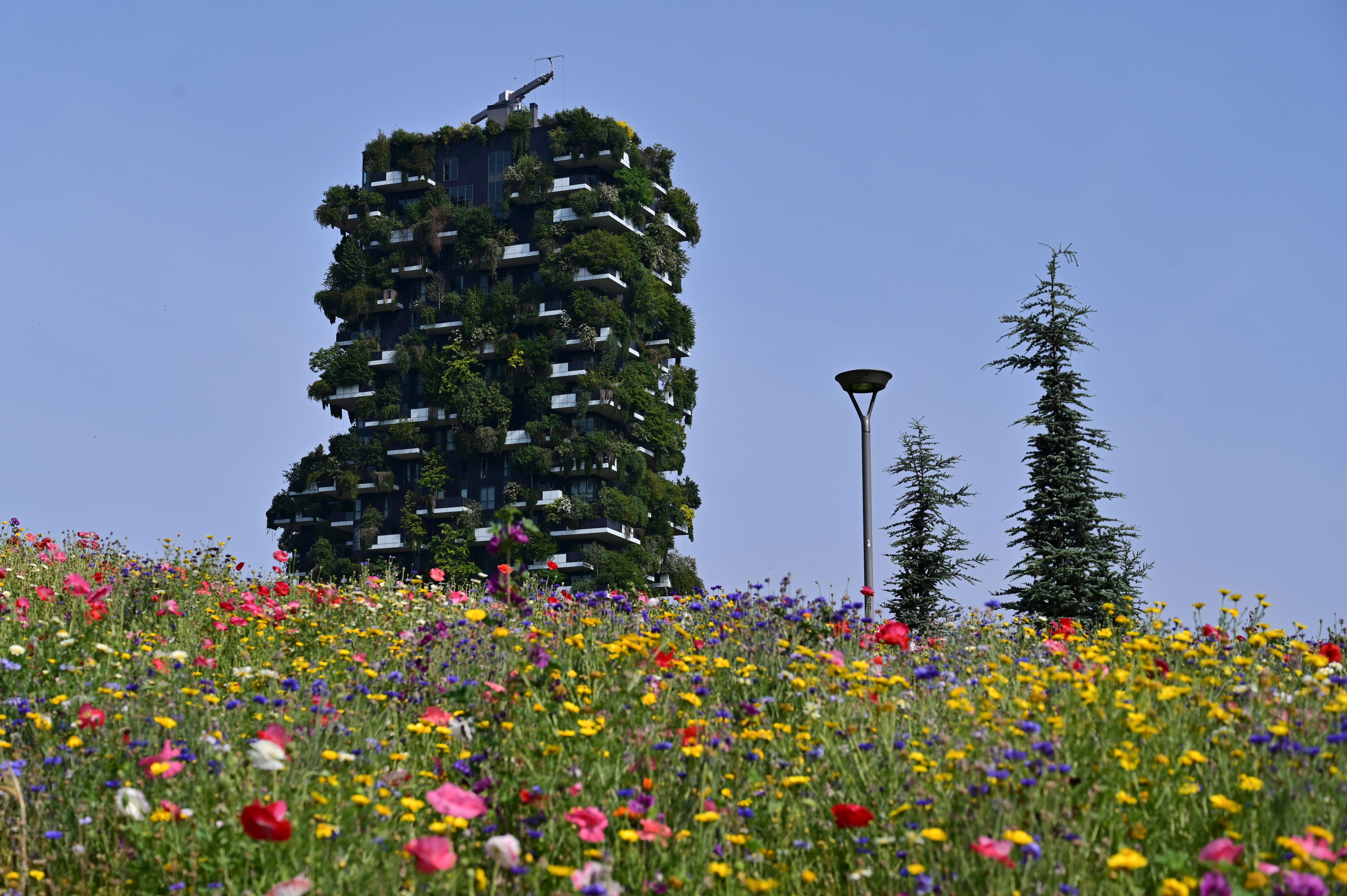 A mutant building in Milan is saving energy and pleasing residents