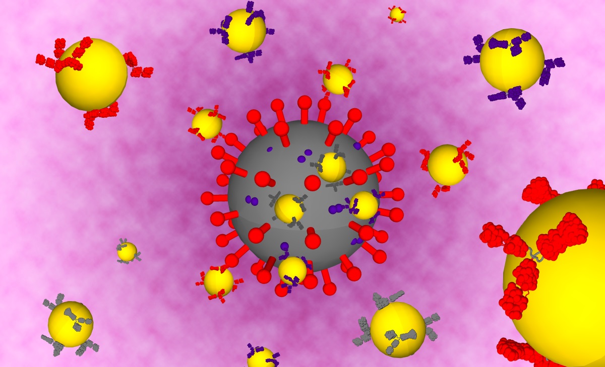 Antibody-doped gold nanoparticles provide a rapid COVID-19 test - Physics World